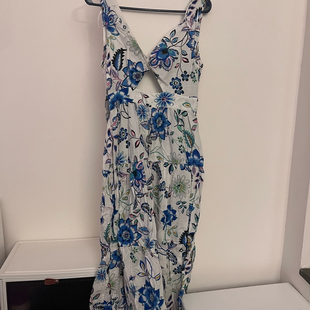 Zara Floral Blue and White Maxi Dress